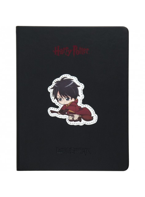 Щоденник шкільний KITE Harry Potter HP23-264