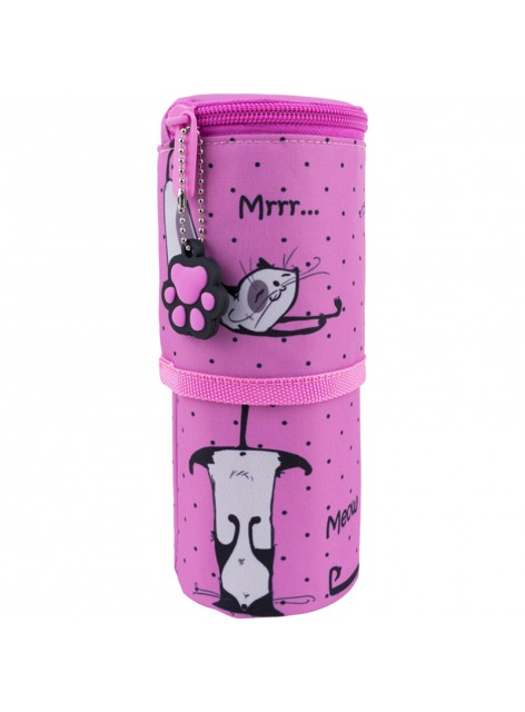 Пенал KITE Education K22-684-3