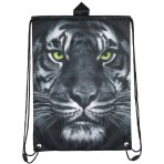 Сумка для обуви Take'n'Go KITE K15-600-11K