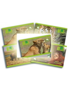 Альбом для рисования 12 листов Animal Planet KITE AP16-241-1