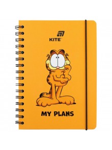 Щоденник шкільний Kite Garfield GF26-438
