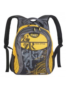 Рюкзак молодежный GRIZZLY GR320-2