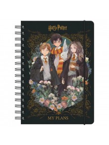 Щоденник шкільний Kite Harry Potter HP23-438