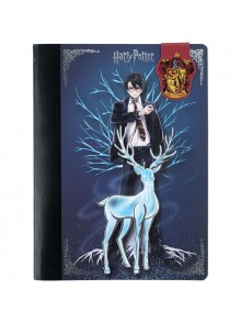 Блокнот з магнітною закладкою А5, 60 аркушів Kite Harry Potter HP25-192