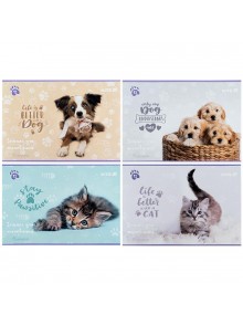 Зошит для малювання А4, 12 аркушів Kite Rachael Hale R25-241