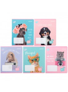 Зошит 18 аркушів, клітинка (1 шт.) KITE Studio Pets SP23-236